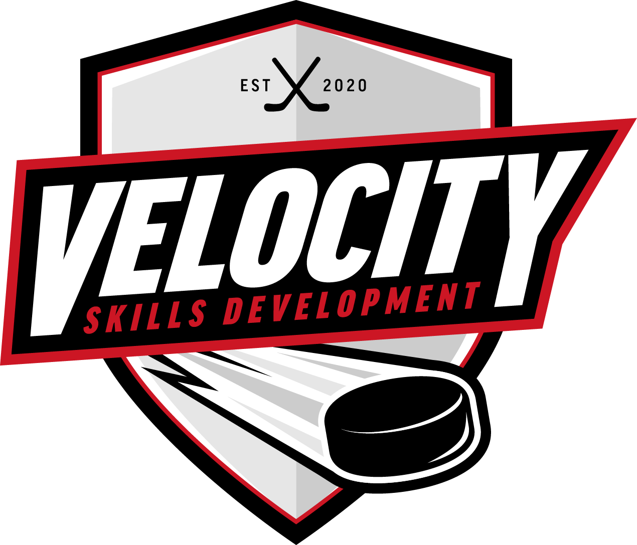 Velocity Skills Development